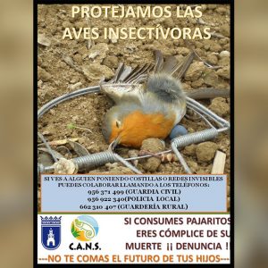 El grupo CANS solicita la colaboración ciudadana para luchar contra la caza ilegal de aves insectívoras