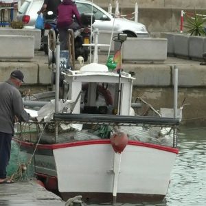 Agricultura y Pesca asesora sobre las subvenciones por la paralización de la actividad pesquera de arrastre y cerco en el Golfo de Cádiz