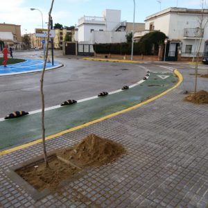 Comienza la plantación de 30 árboles de la especie júpiter en la zona de acerado renovada en la avenida del Esturión