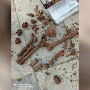 Tano Guzmán informa que los restos óseos encontrados en la avenida de Rota podrían ser de un pequeño equino