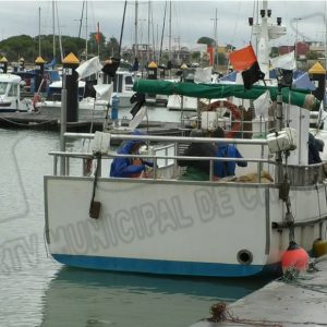 El Consejo Local de Pesca trató el problema del alga invasora, las ordenanzas de Playas y las obras en Puerto Chipiona