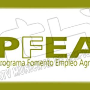 El Programa de Fomento de Empleo Agrario destina a Chipiona 805.410,69 € a proyectos que se desarrollen en el ejercicio 2021-2022