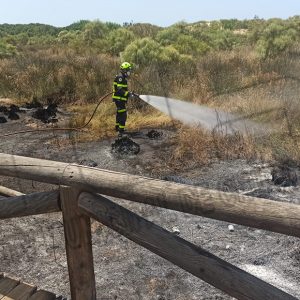 Un conato de incendio amenazó ayer el Centro de Interpretación de la Naturaleza y el Litoral El Camaleón