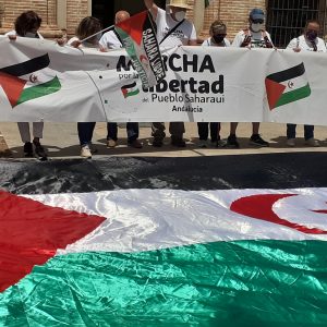 Marcha por la Libertad del Pueblo Saharaui.  Etapa 15.-   Villafranca- Montoro  3 de Junio