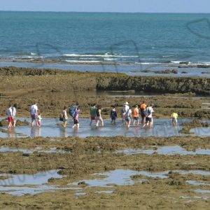 Editado un bando para proteger y preservar los corrales de pesquería de Chipiona en la época estival