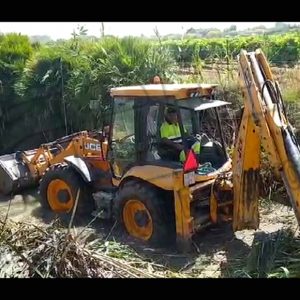 Agricultura inicia las tareas de limpieza del colector del  pinar de Chipiona