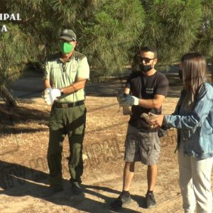 El grupo CANS procede a la suelta de tres crías de cernícalo común rescatadas hace un mes