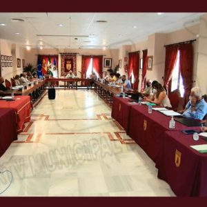 La Ordenanza de Parques y Jardines y la viabilidad de arrecifes artificiales entre los temas del Pleno de julio en Chipiona