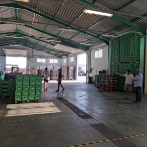 Luis Mario Aparcero y Laura Román valoran la capacidad de reinventarse del sector agrícola en visita a Andalucía Auctions