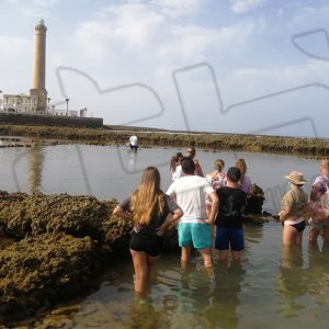 La Delegación de Turismo ha retomado esta semana las visitas guiadas a los corrales de pesquería de Chipiona