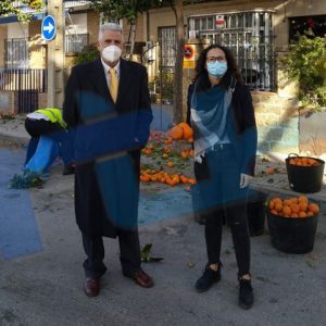 El Ayuntamiento de Chipiona comienza la retirada de los frutos de más de 500 naranjos