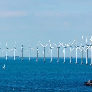 La Delegación de Medio Ambiente muestra su rechazo al proyecto de eólica marina en la bahía de Cádiz