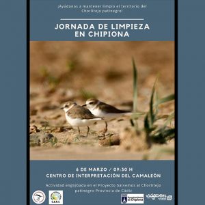 El domingo tendrá lugar en Chipiona una jornada de limpieza en el hábitat del Chorlitejo Patinegro