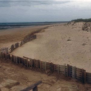 Medio Ambiente coloca retenedores de arena en Las Tres Piedras para proteger una zona de nidificación del Chorlitejo Patinegro