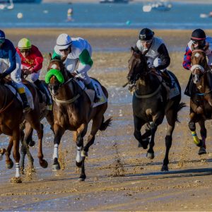 Diputación aporta 62.000 euros a las Carreras de Caballos de Sanlúcar de Barrameda