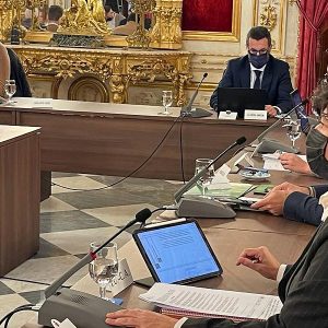 IU lleva a Diputación la escasez de horas de ayuda a domicilio en Andalucía y las dificultades locales para aplicar los planes de empleo
