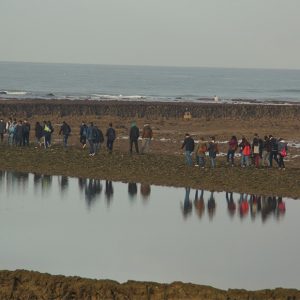 Publicado un bando para la protección de los corrales de pesca de Chipiona