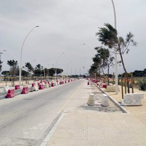 Medio Ambiente solicita a Puertos de Andalucía el trasplante del arbolado de la avenida Adolfo Suárez