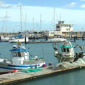 El Puerto pesquero de Rota, en «Tierra y Mar»