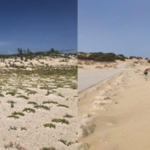 Chipiona recibe de Diputación material de balizamiento para la conservación de los ecosistemas litorales