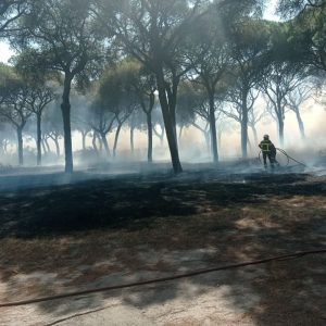 El Concejal Delegado de Medio Ambiente, Sebastián Guzmán, agradece colaboración en el control del incendio originado en la zona del Abulagar