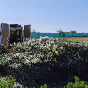 La Delegación de Agricultura informa novedades normativas que afectan a la de quema de residuos vegetales agrícolas