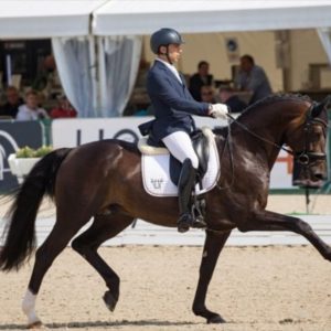 El jinete Manuel Domínguez participará en el Campeonato del Mundo de Caballos Jóvenes