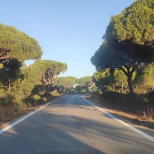 Agricultura realiza el pintado de las marcas viales de los caminos de Jerez y del Olivar