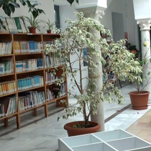 Una subvención de la Junta de 2.040 euros permitirá ampliar los fondos bibliográficos de la biblioteca municipal de Chipiona