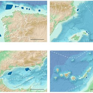 El CANS muestra su satisfacción por la negativa del Gobierno al proyecto de un parque eólico marino en la Bahía