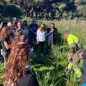 Las Delegaciones de Educación y Medio Ambiente, colectivos ecologistas y alumnado de Chipiona inician los trabajos de repoblación en el pinar