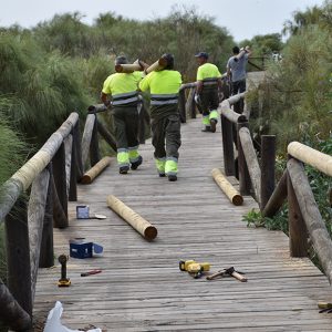 El Delegado de Medio Ambiente informa sobre el arreglo de la pasarela de madera que une La Laguna con las Tres Piedras