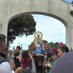 La Delegación de Fiestas informa sobre los preparativos para la Romería del Pinar que se celebra el domingo 4 de junio