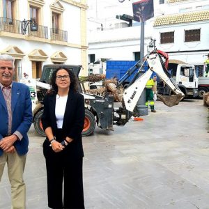 Parques y Jardines coordina los trabajos de plantación de 15 palmeras datileras que se están realizando hoy en la plaza Juan Carlos I