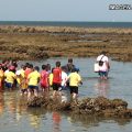 Jarife vuelve a desarrollar este año su programa de visitas a los corrales de pesca para los escolares de Chipiona