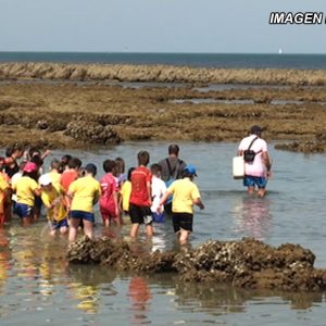 Jarife vuelve a desarrollar este año su programa de visitas a los corrales de pesca para los escolares de Chipiona