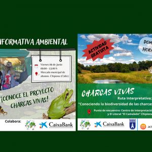 Medio Ambiente organiza una actividad enfocada a la protección de las lagunas y charcas temporales de la comarca