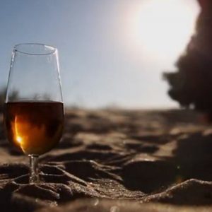 Radio Chipiona ofrecerá la próxima semana una programación especial dedicada a la fiesta local del vino moscatel
