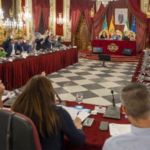 La Diputación de Cádiz plantea un frente común contra la instalación de parques eólicos en el litoral gaditano