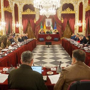 El Pleno de Diputación aprueba el nuevo Plan Provincial del Área de Servicios Sociales, Familias e Igualdad para 2024