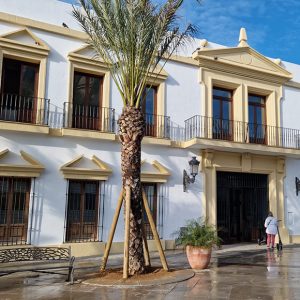 Finalizan los trabajos de mejora y adecentamiento de la fachada y exteriores del edificio municipal de la Plaza Juan Carlos I