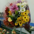 Agricultura promueve con una campaña audiovisual que se regalen flores y plantas de Chipiona por el Día de la Madre