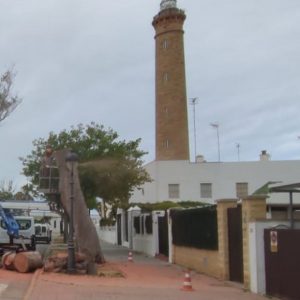 Parques y Jardines inicia la eliminación de tocones y árboles afectados por los temporales, que se encontraban en mal estado fitosanitario