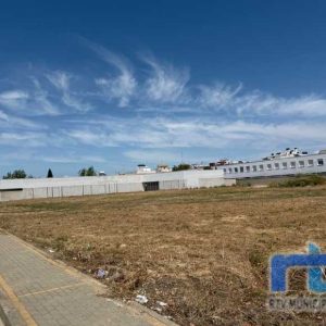 Adjudicadas las obras para la construcción del nuevo CEIP Los Argonautas