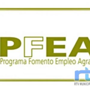 Chipiona recibirá más 800.000 euros en el Programa de Fomento del Empleo Agrario 2025-2026