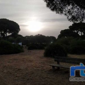 Medio Ambiente pide colaboración para que haya respeto al entorno natural y a los animales en los días de la Romería del Pinar