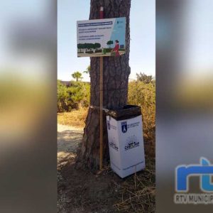 Medio Ambiente agradece la colaboración ciudadana en la Romería del Pinar