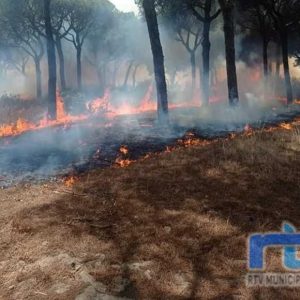La Junta prohíbe el uso del fuego en los espacios forestales y de influencia forestal de Andalucía hasta el 15 de octubre