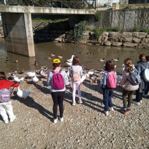 La Diputación organiza unas 400 actividades de Educación Ambiental para el próximo curso
