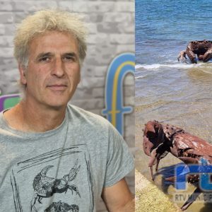 Alfredo Zarazaga avanza la fecha en que el conjunto escultórico ‘Cangrejos en el litoral gaditano’ abandone su actual ubicación